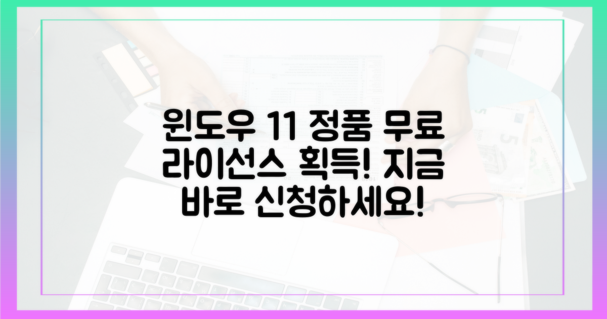 지금 바로 윈도우 11 정품 라이선스를 얻으세요!