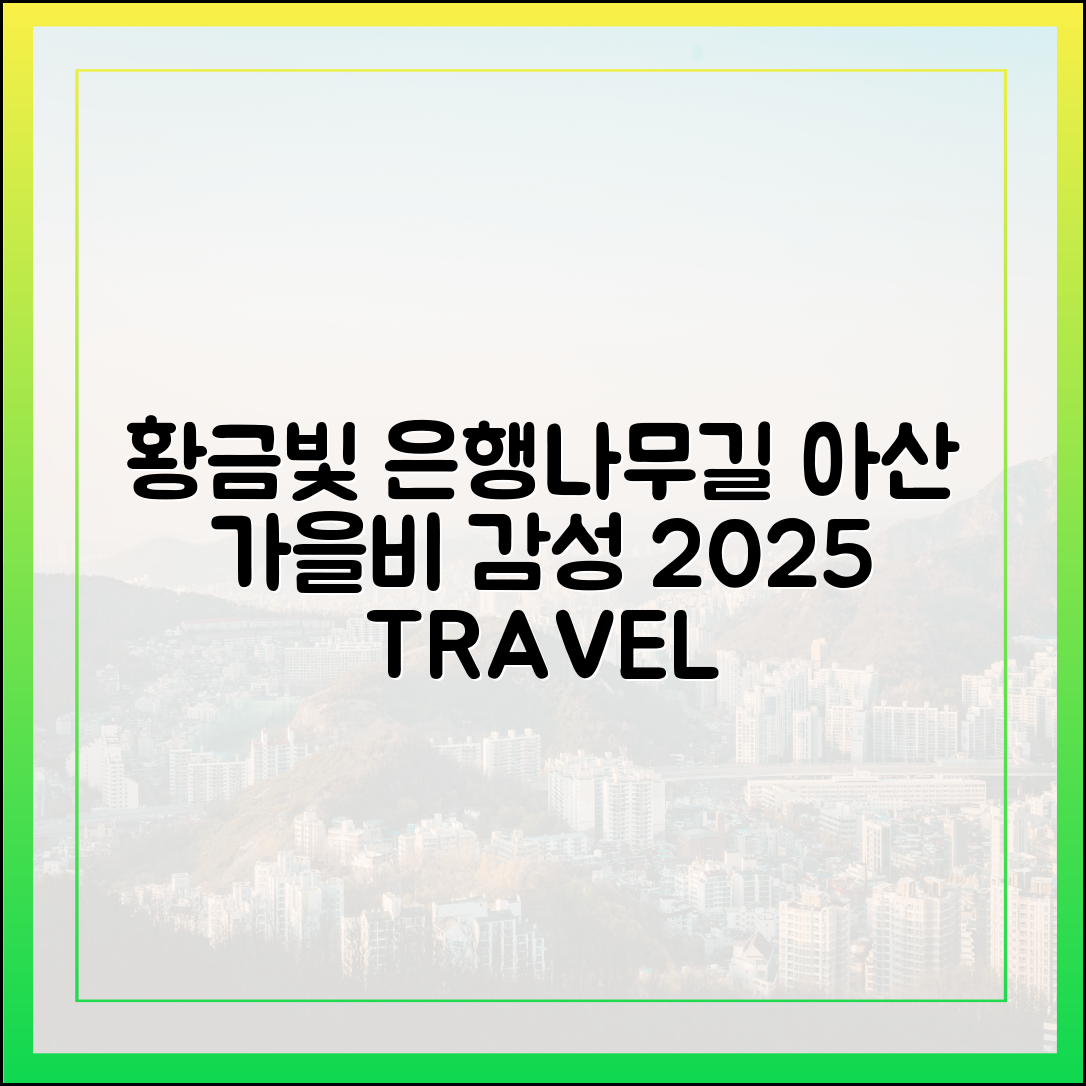 가을비 후 황금빛 아산 은행나무길, 2025년 감성 여행