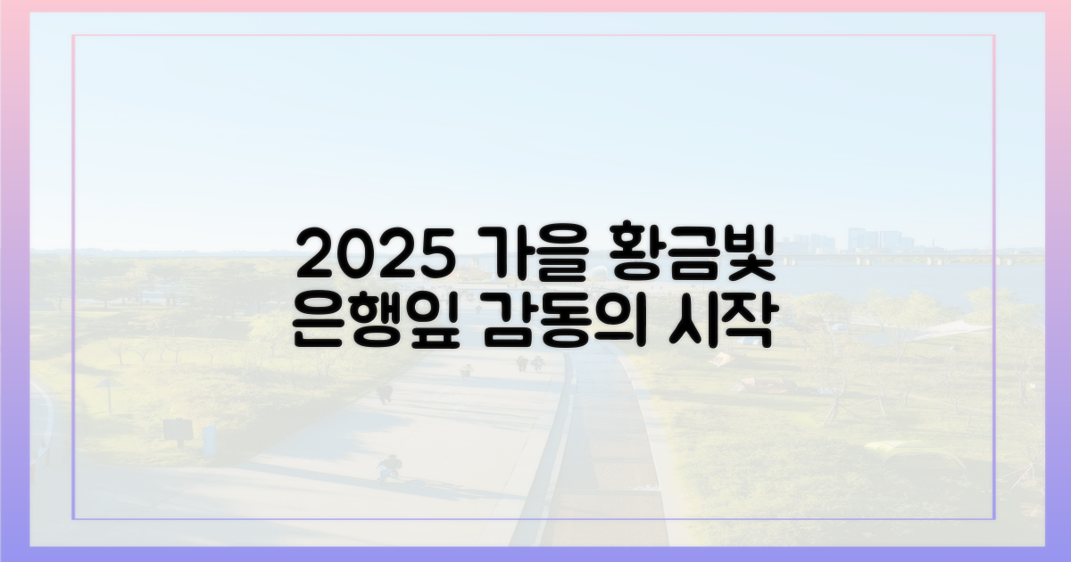 가을비 머금은 은행잎, 2025 황금빛 감동