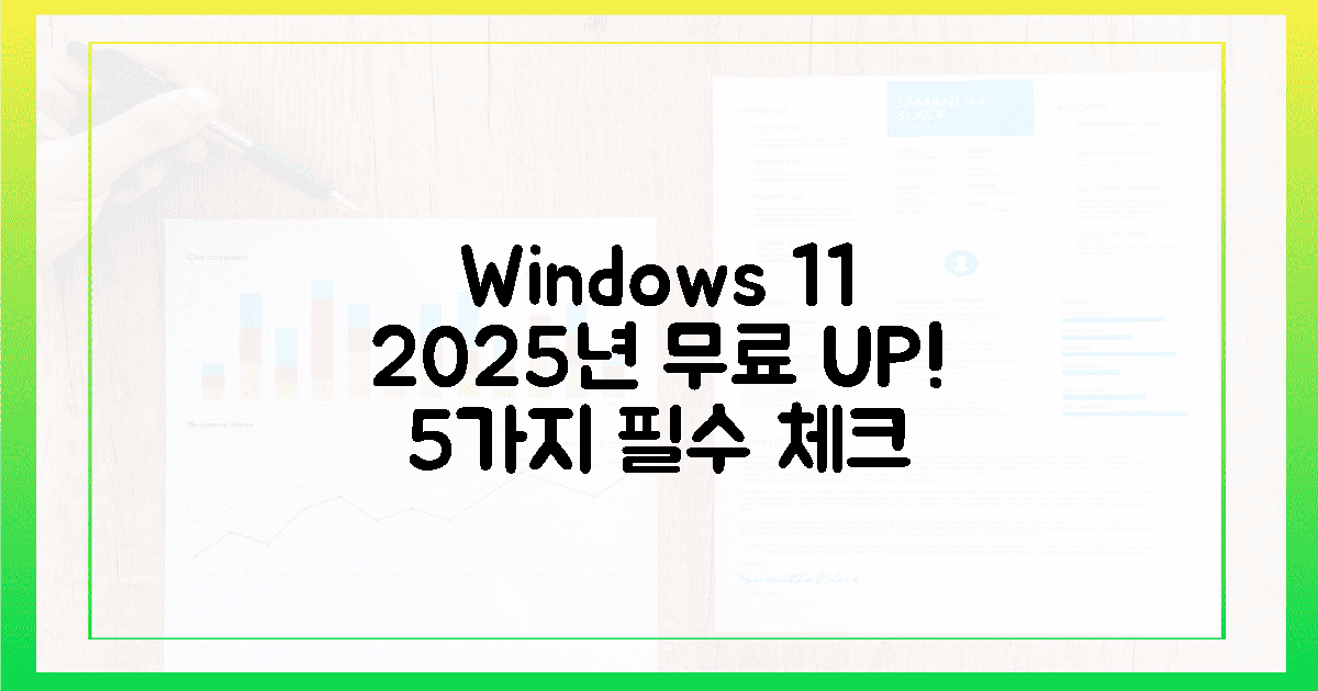 윈도우 11, 2025년 전 무료 업그레이드, 5가지 필수 체크!