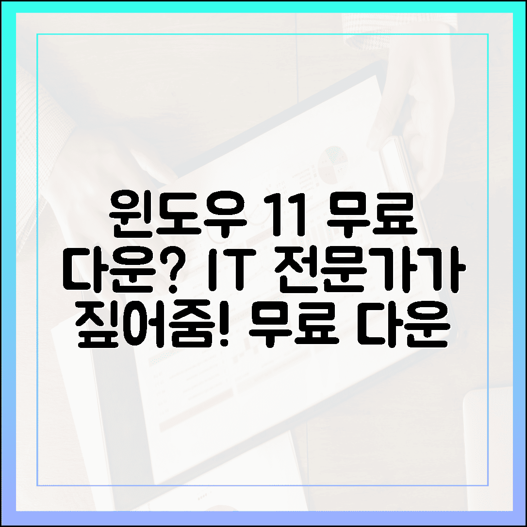 IT 전문가가 짚어주는 윈도우 11 무료 다운로드 핵심 주의사항 5가지