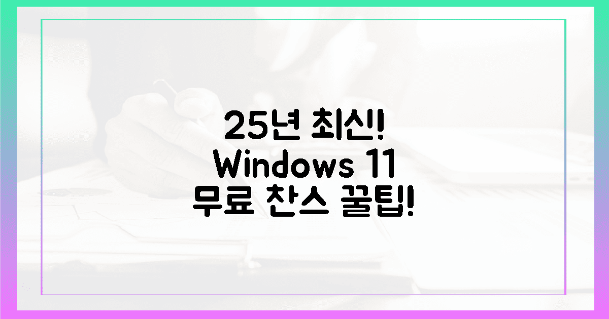 25년 최신! 윈도우 11, 공짜 찬스 잡는 법