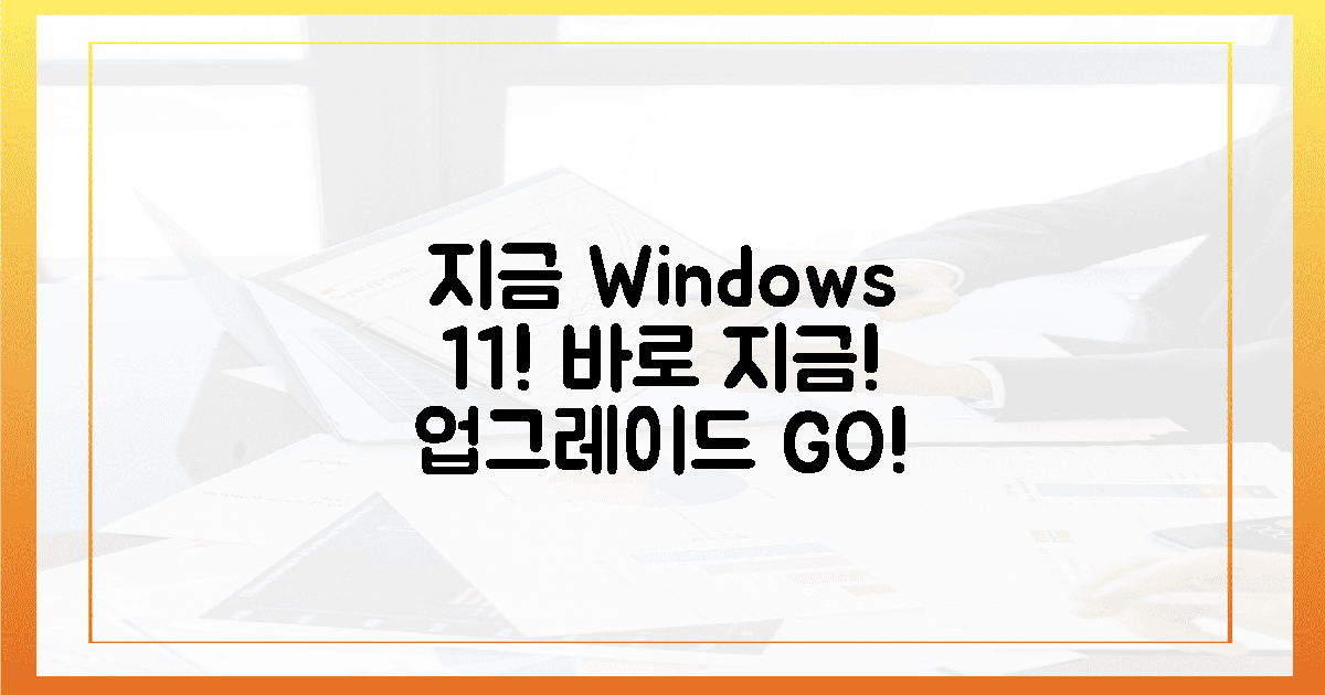 지금 바로 윈도우 11 즐기세요!