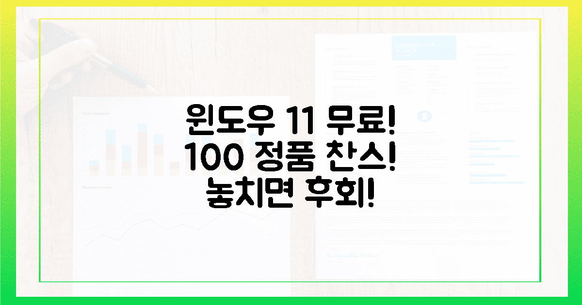 100% 정품! 윈도우 11 무료 찬스 놓치지 마세요