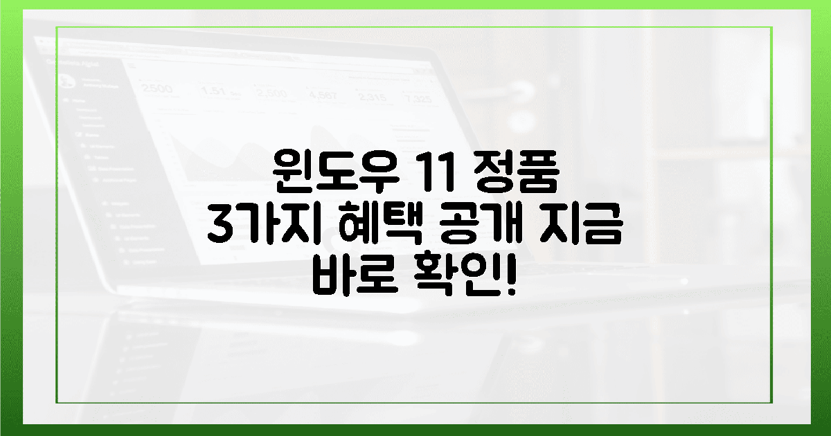 지금 바로 윈도우 11 정품, 3가지 혜택 확인하세요!