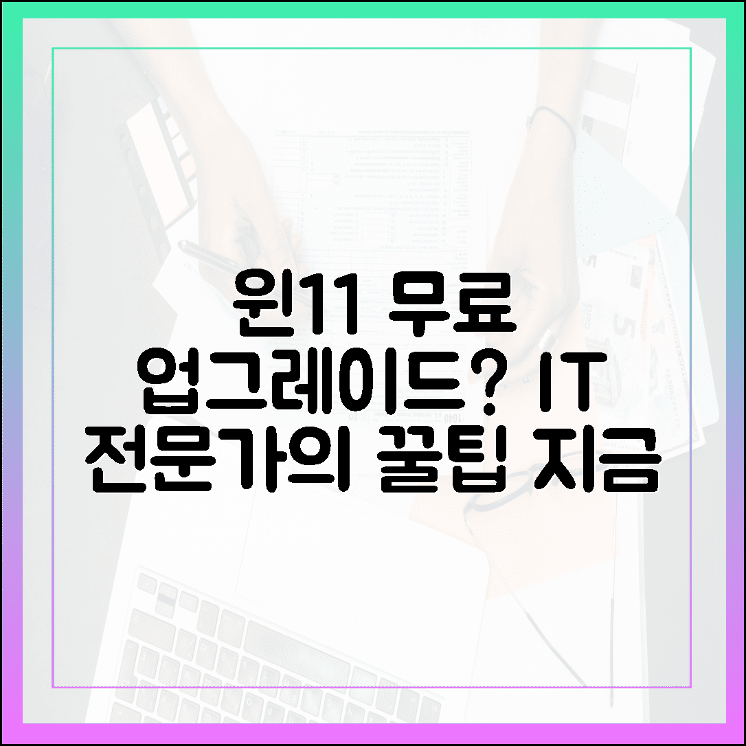 IT 전문가의 조언: 윈도우 11 무료 업그레이드 전 준비 사항