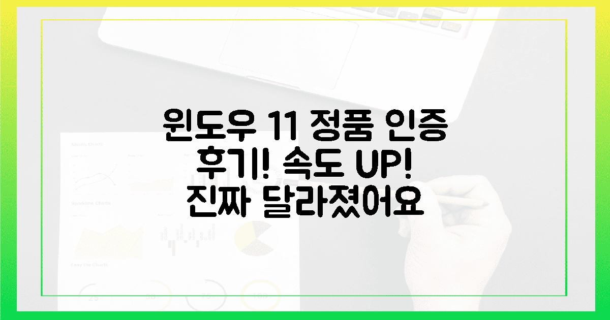 윈도우 11, 찐 정품 인증 체감 후기