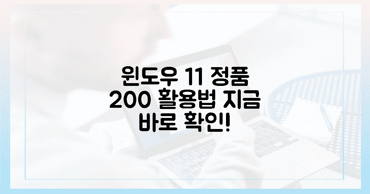 헉! 윈도우 11 정품, 이 경로로 200% 활용