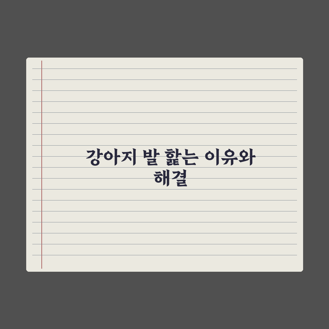 강아지 발 핥기 - 원인과 멈추는 법 완벽가이드, 전문가가 분석한 5가지 핵심