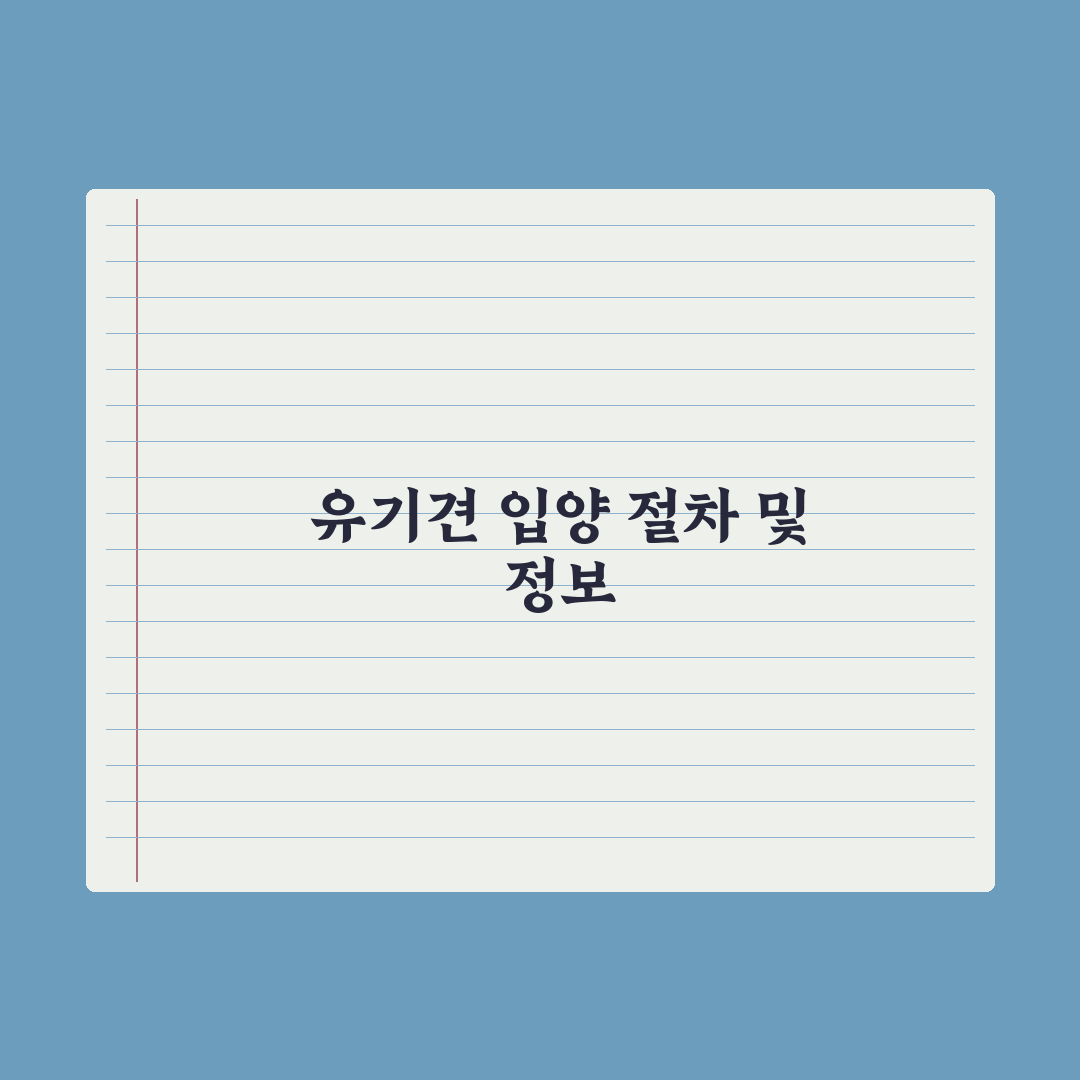 유기견 입양 절차와 보호소 정보 완벽가이드: 현장 전문가가 검증한 5단계 핵심 전략