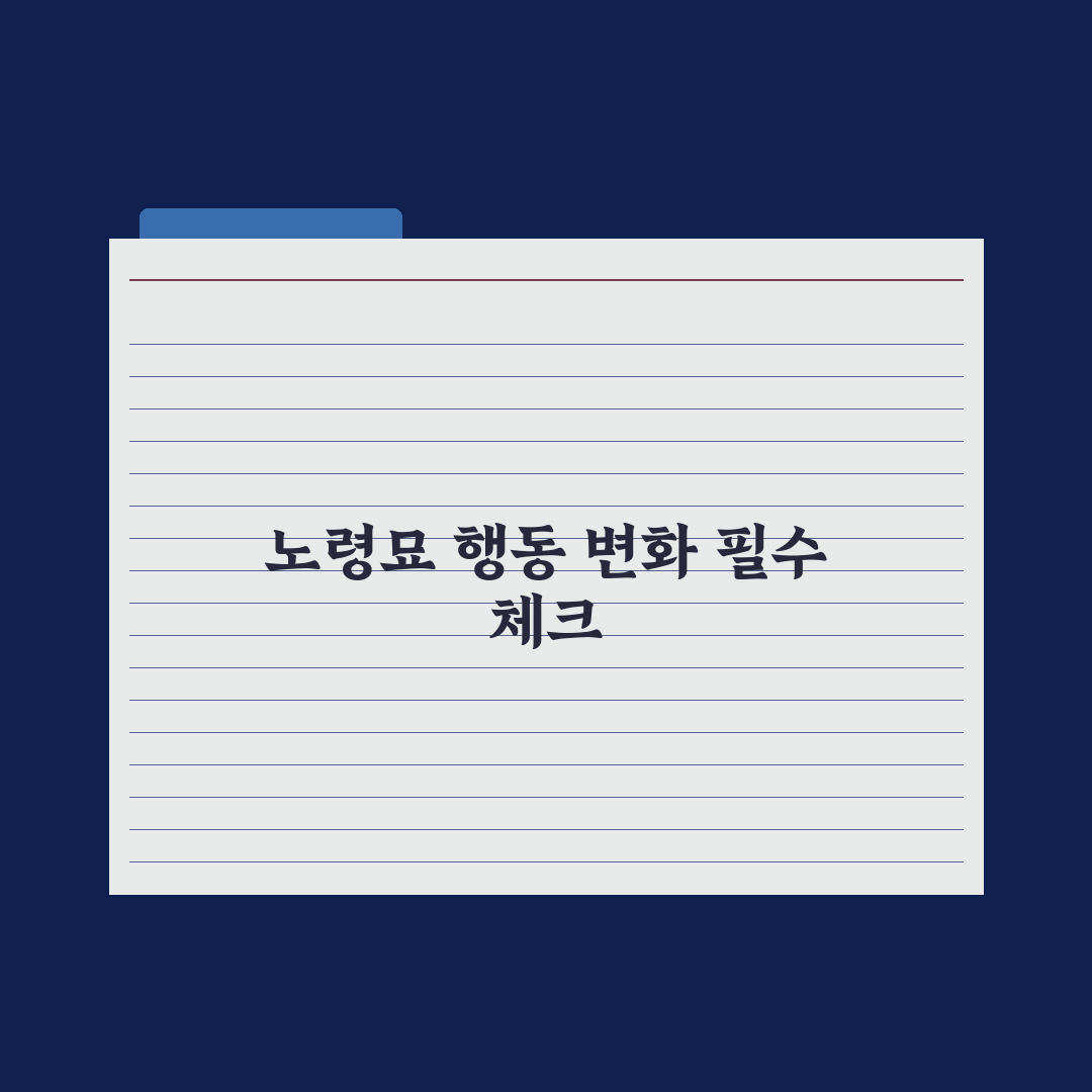 노령묘 행동 변화와 케어 포인트 완벽가이드: 전문가가 분석한 5대 핵심 징후