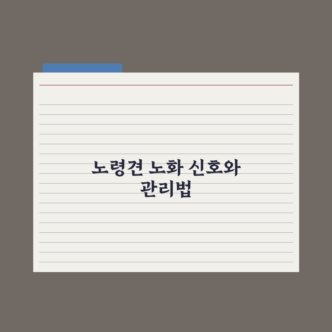 노령견 노화 신호 10가지와 관리 포인트 심층분석, 보호자가 놓치기 쉬운 5가지 지표