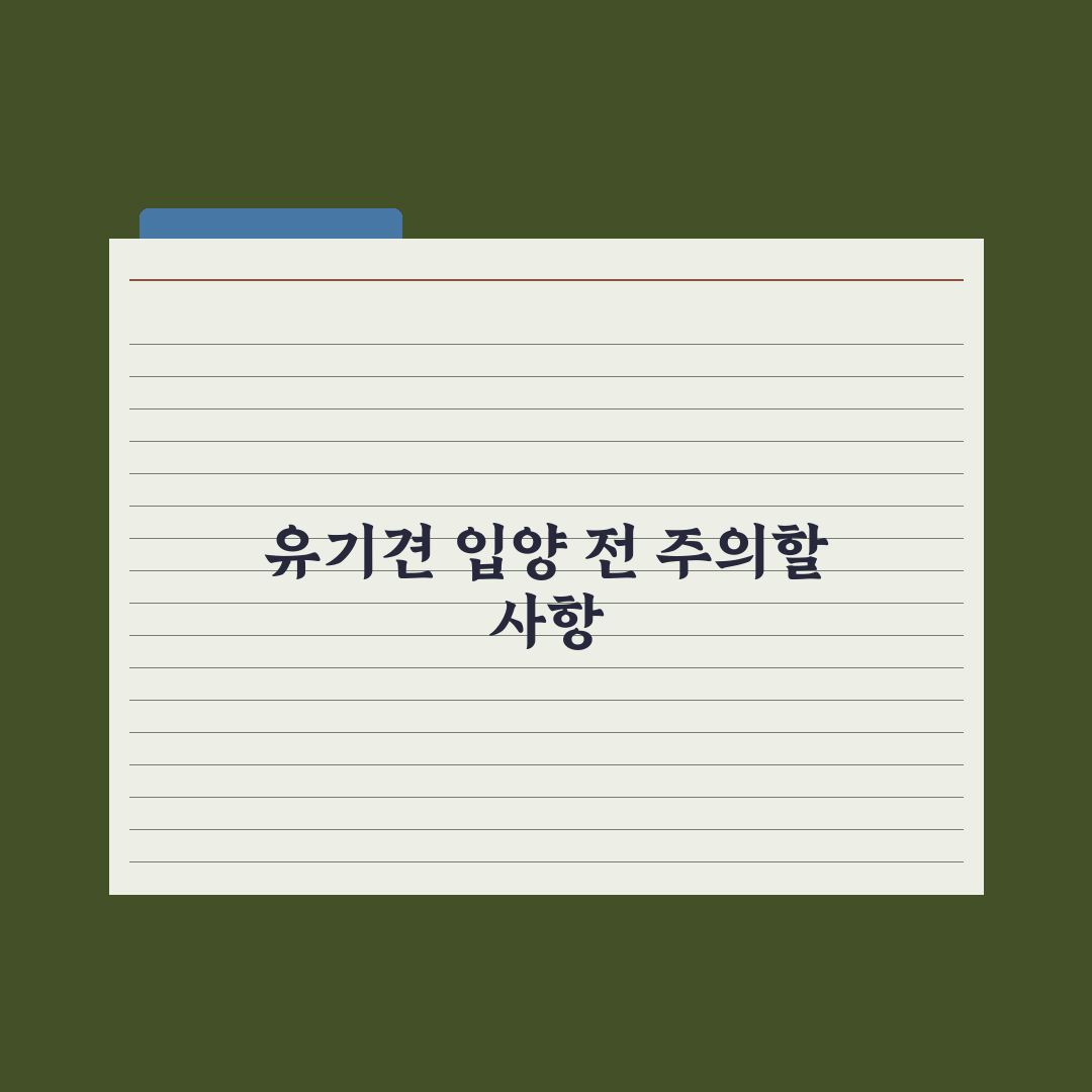 유기견 입양 절차와 보호소 정보 완벽가이드: 현장 전문가가 검증한 5단계 핵심 전략