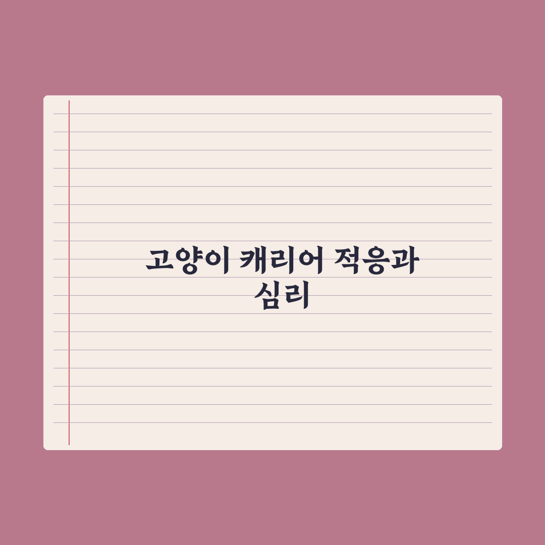 고양이 캐리어 적응 훈련법 완벽가이드: 전문가가 검증한 5단계 핵심정리