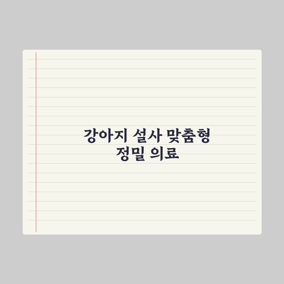 강아지 설사 - 원인별 대처와 식단 총정리, 전문가가 분석한 5단계 대응