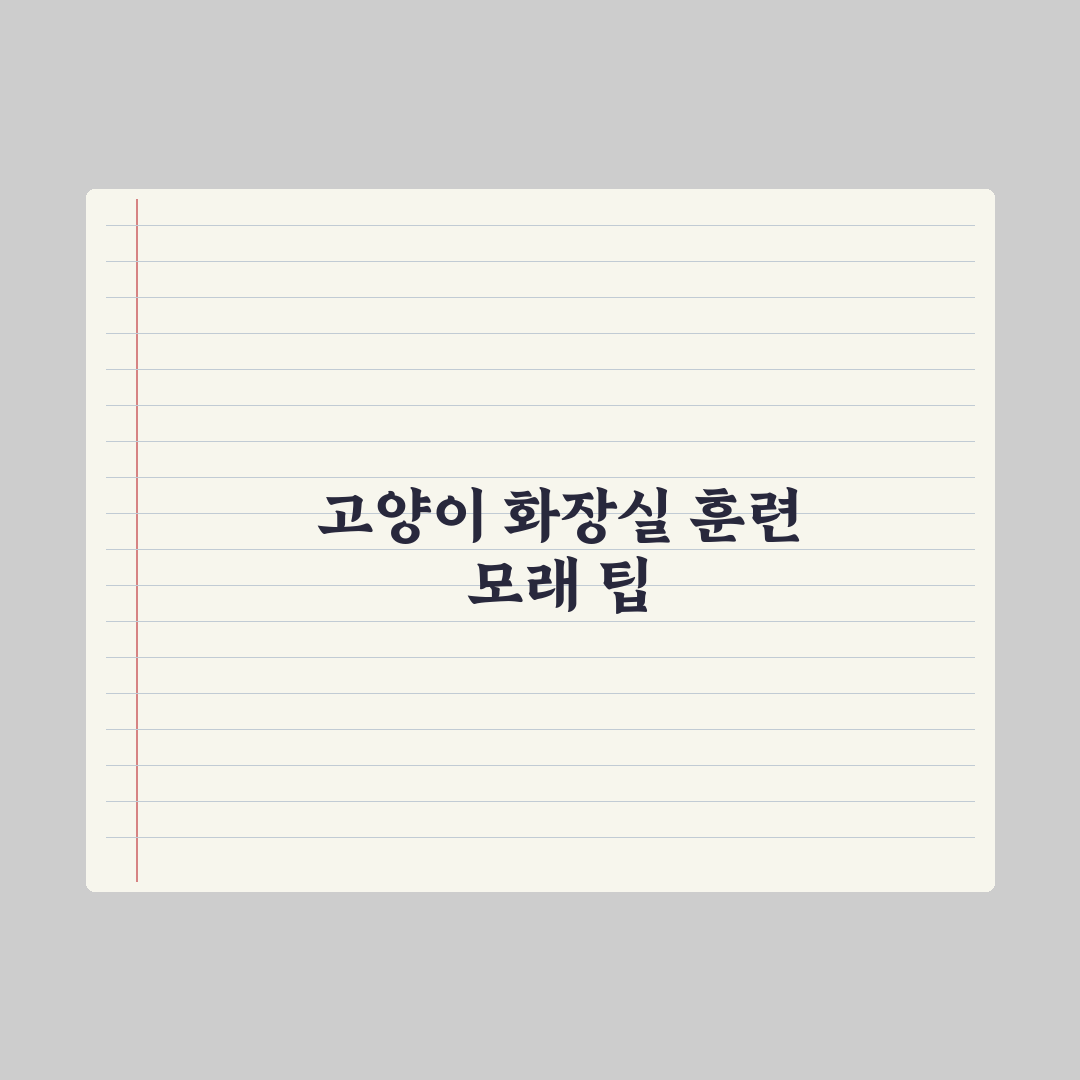 고양이 화장실 훈련과 모래 선택법 핵심정리, 전문가가 검증한 5가지 원칙