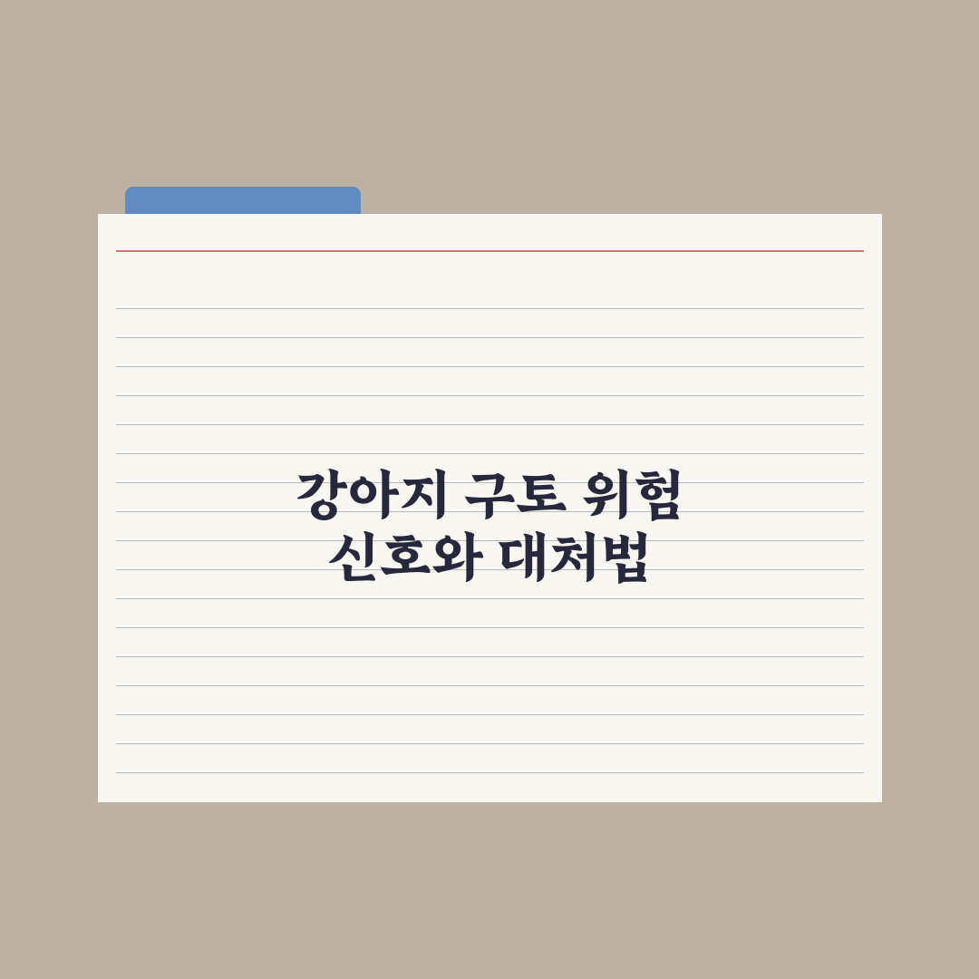 강아지 구토 - 위험 신호와 병원 가야 할 때 심층분석, 놓치기 쉬운 5가지 핵심 징후
