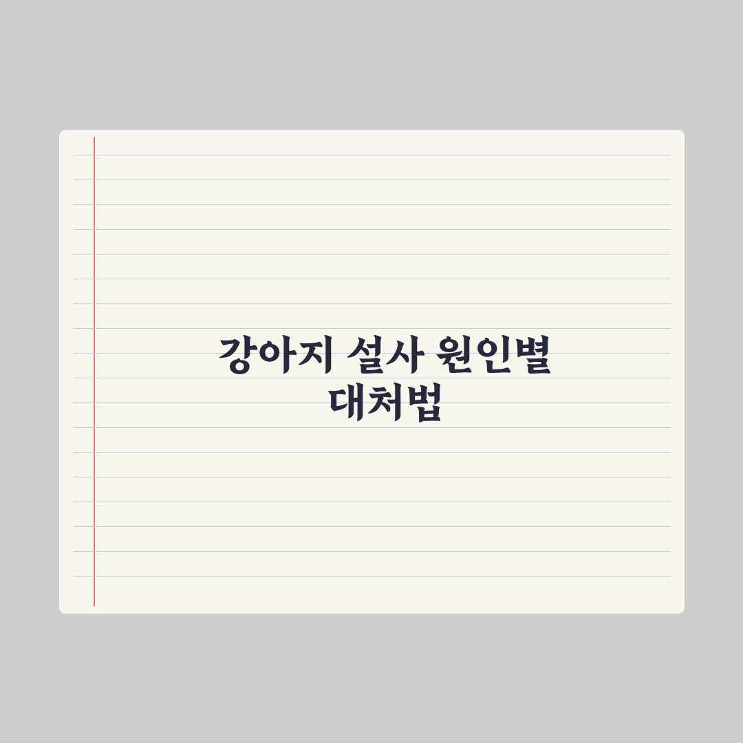 강아지 설사 - 원인별 대처와 식단 총정리, 전문가가 분석한 5단계 대응
