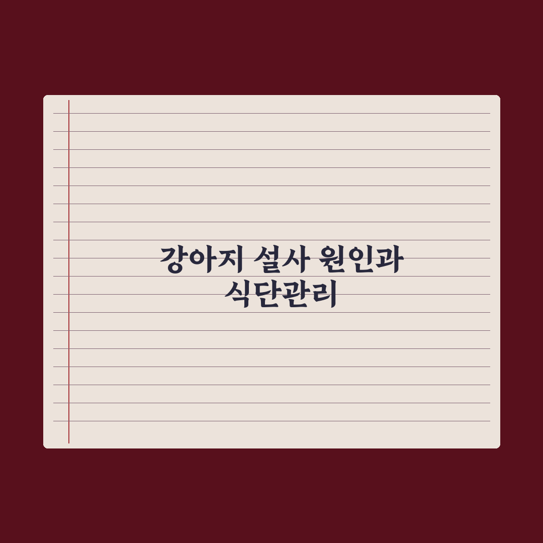 강아지 설사 - 원인별 대처와 식단 총정리, 전문가가 분석한 5단계 대응