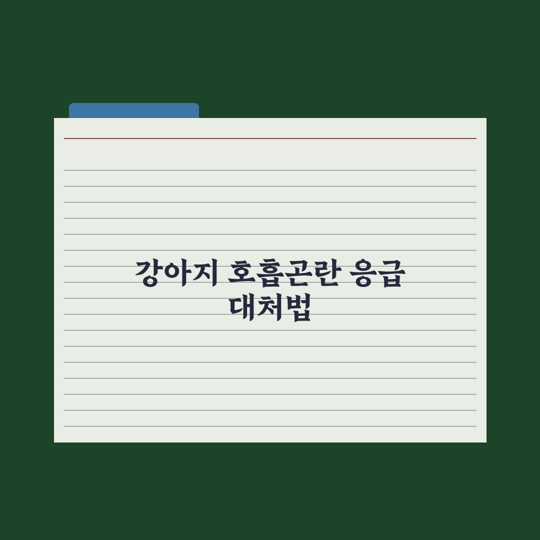 강아지 호흡곤란 - 즉시 병원 가야 할 신호 핵심정리, 필수 지표 5가지