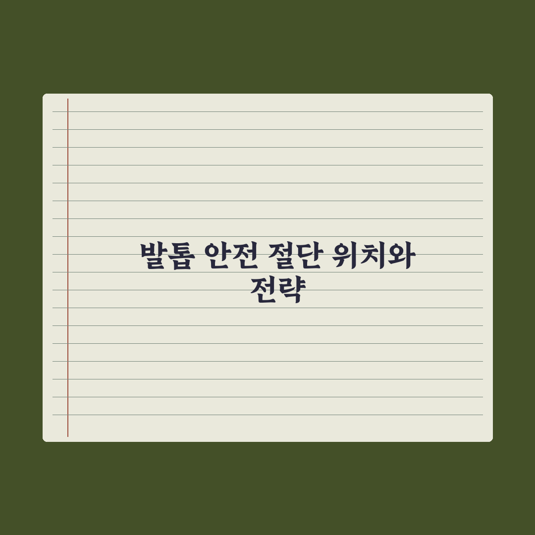 강아지 발톱 깎는 법 - 안전한 절단 위치 완벽가이드: 전문가 5단계