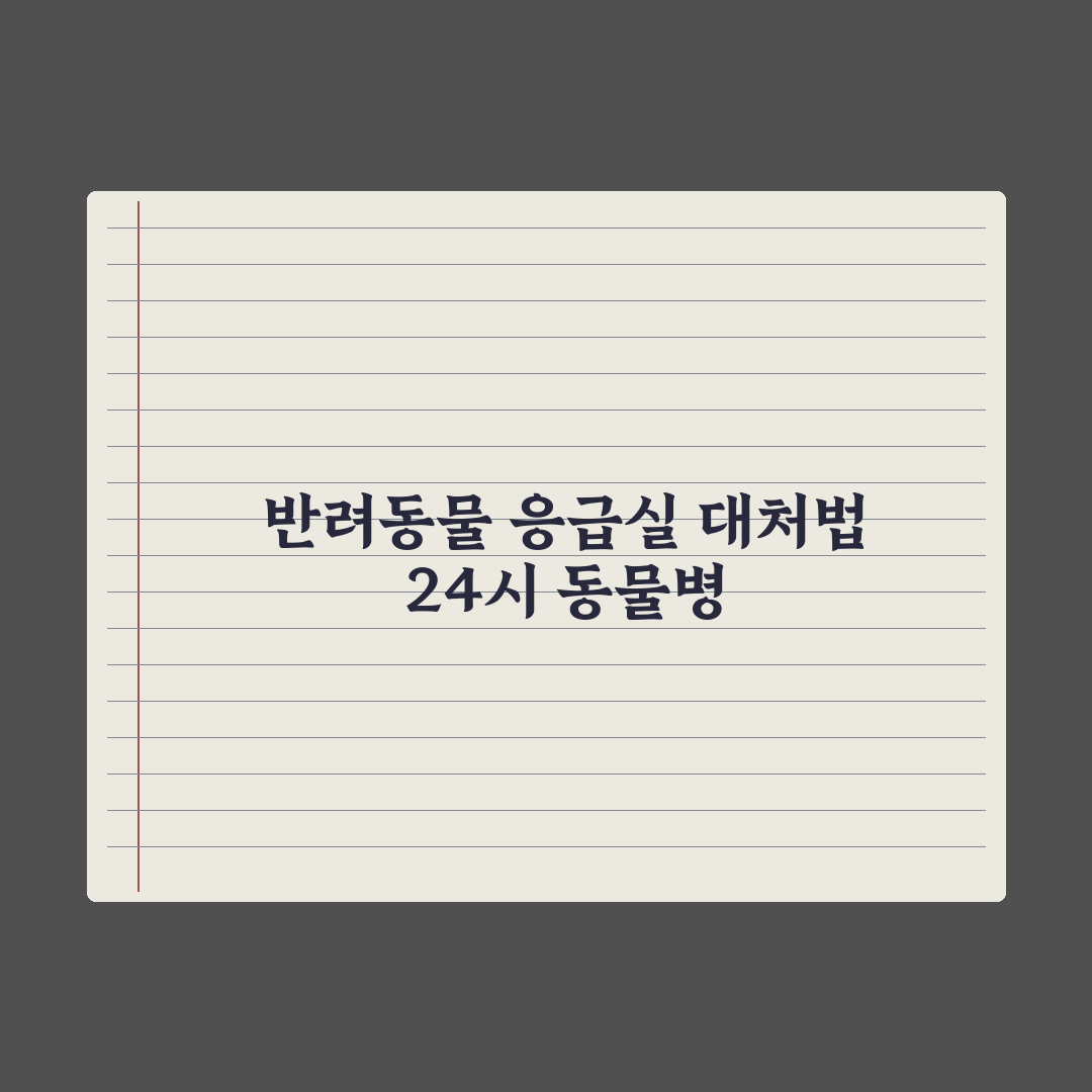 반려동물 응급실 정보 - 24시간 동물병원 이용 가이드 핵심정리: 5단계
