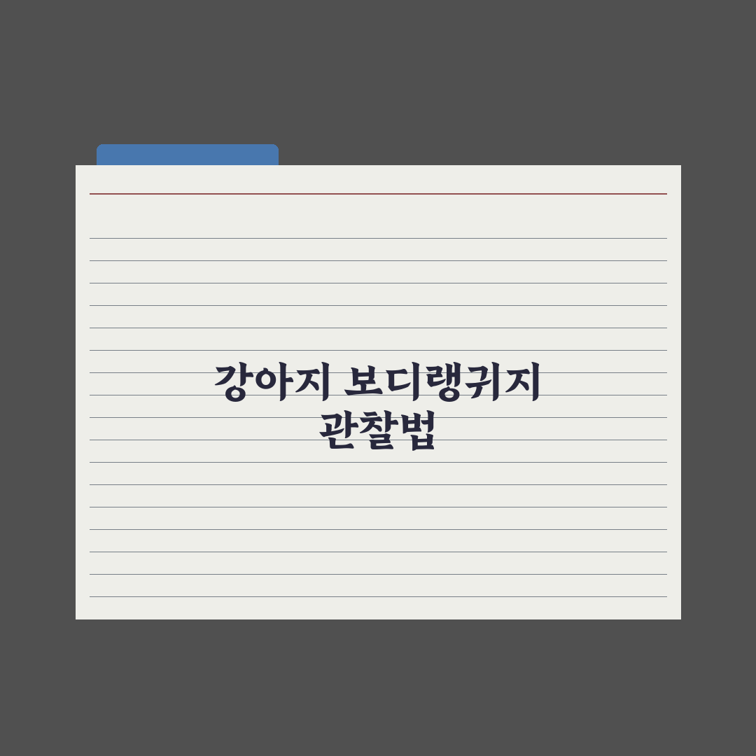 강아지 보디랭귀지 읽는 법 심층분석, 초보 견주를 위한 5단계 실전가이드