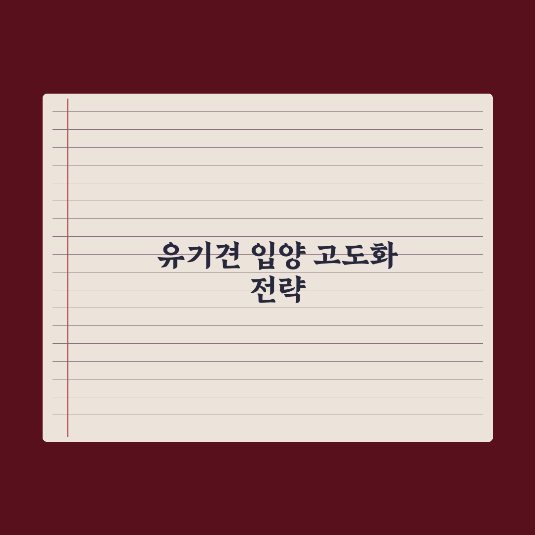 유기견 입양 절차와 보호소 정보 완벽가이드: 현장 전문가가 검증한 5단계 핵심 전략