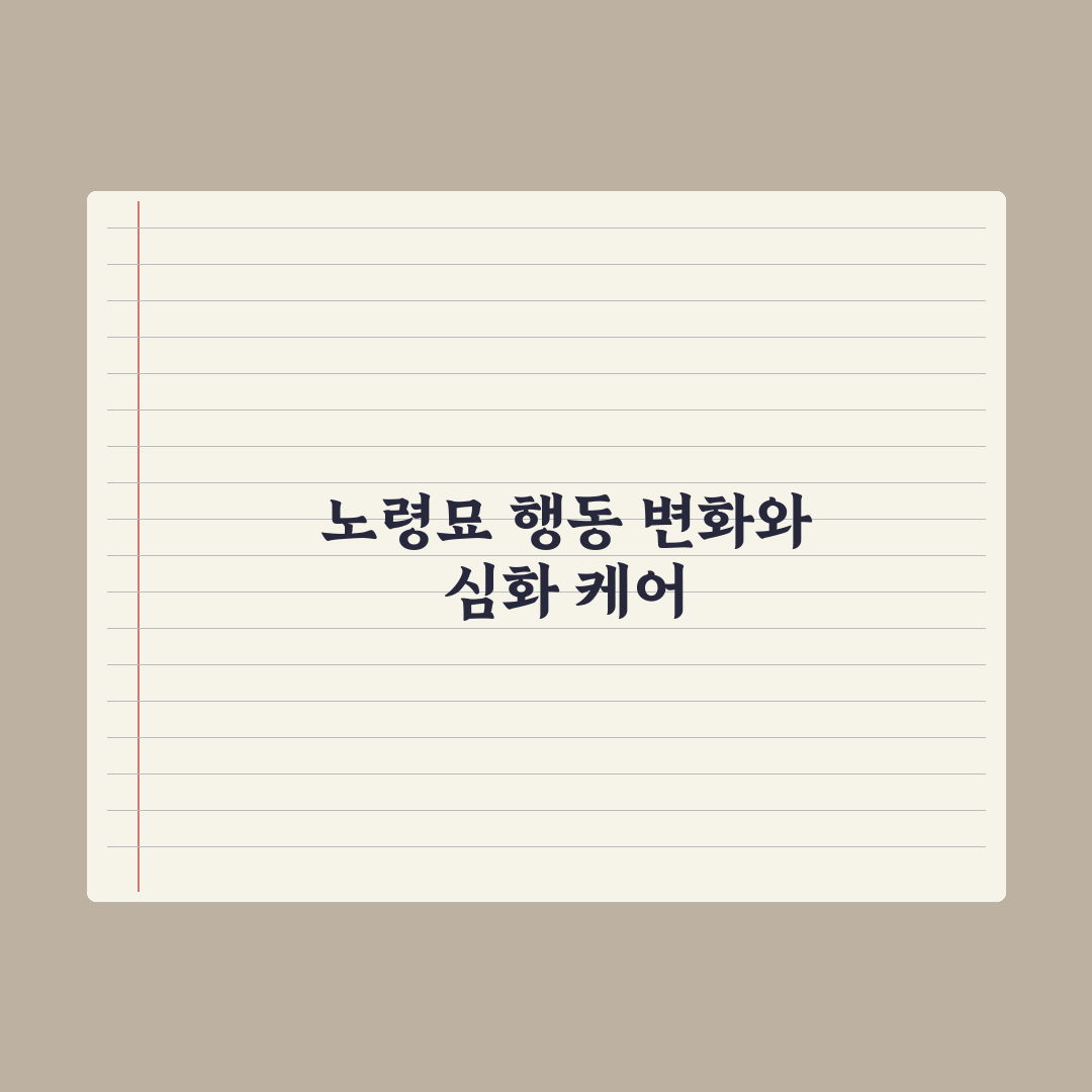 노령묘 행동 변화와 케어 포인트 완벽가이드: 전문가가 분석한 5대 핵심 징후