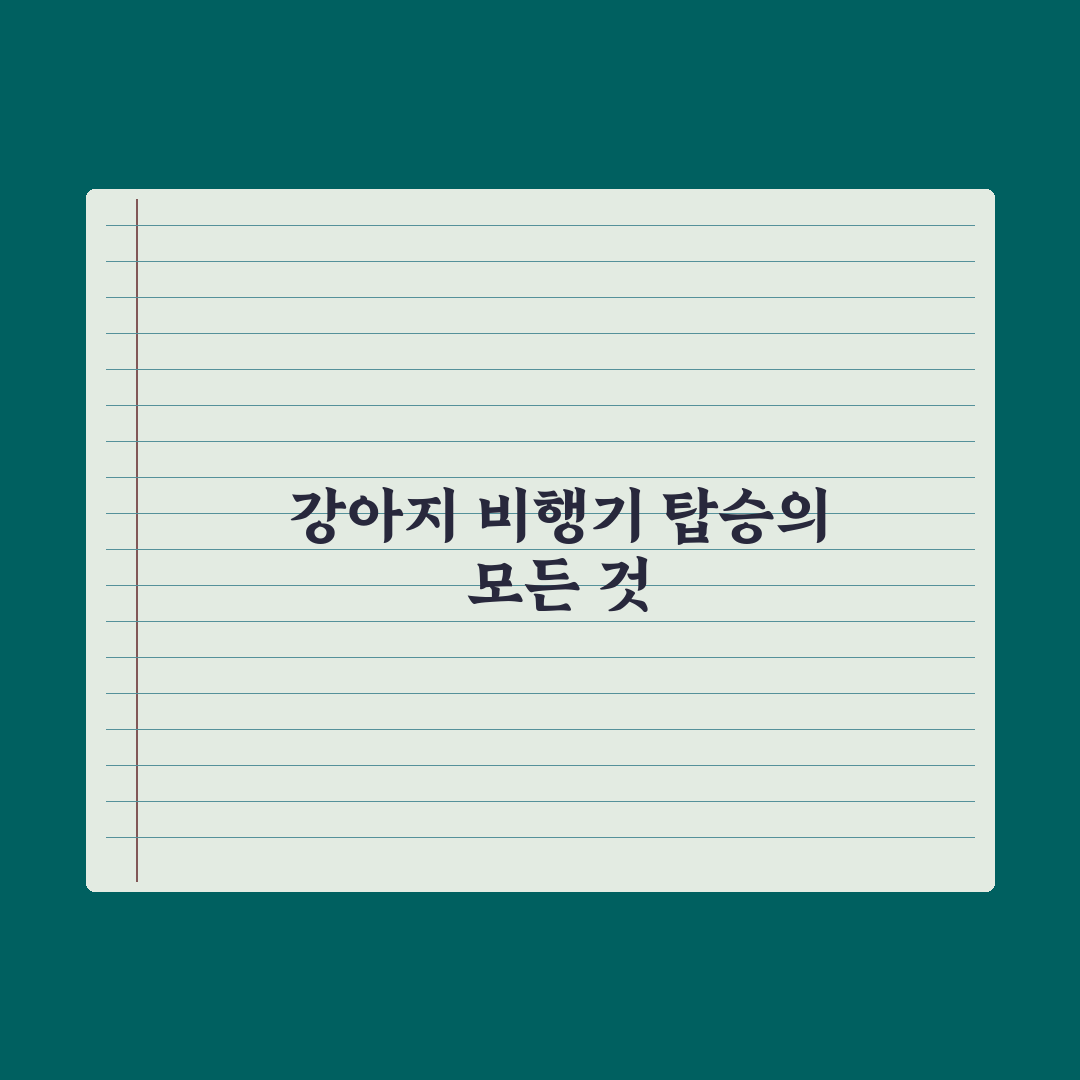 강아지 비행기 탑승 가이드 - 국내·국제선 완벽가이드: 전문가 5대 수칙
