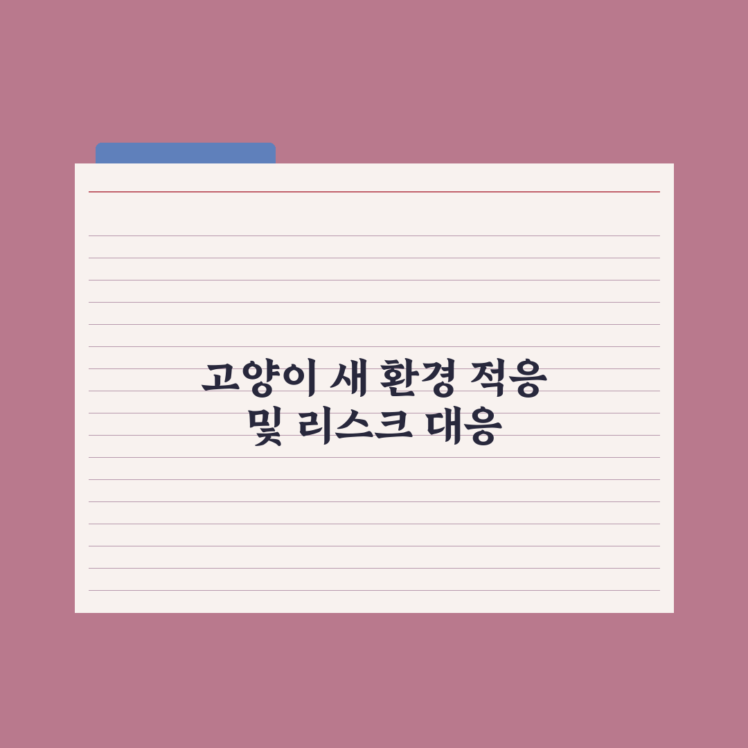 고양이 새 환경 적응시키는 법 완벽가이드, 전문가가 검증한 5가지 핵심원칙