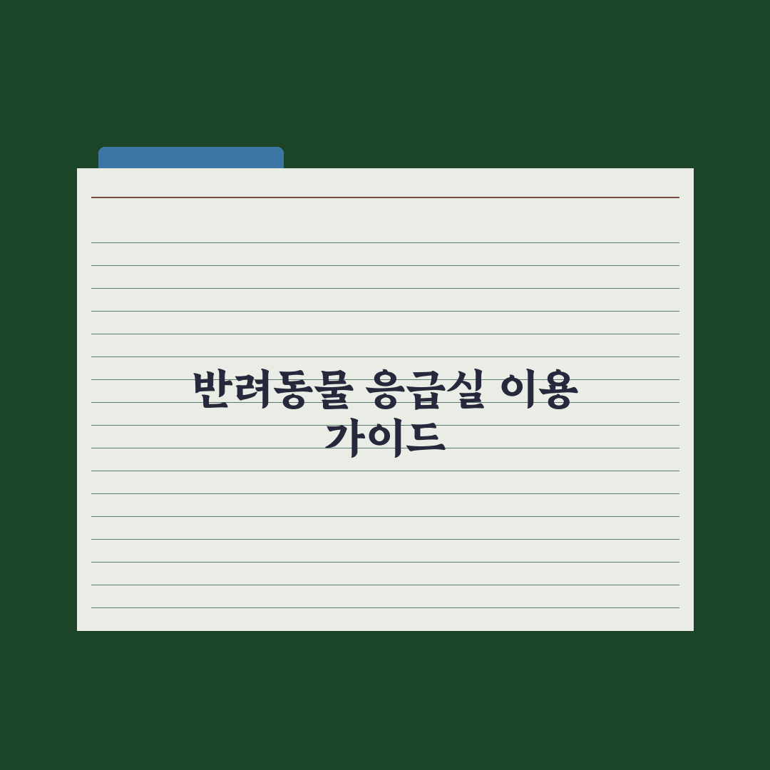 반려동물 응급실 정보 - 24시간 동물병원 이용 가이드 핵심정리: 5단계