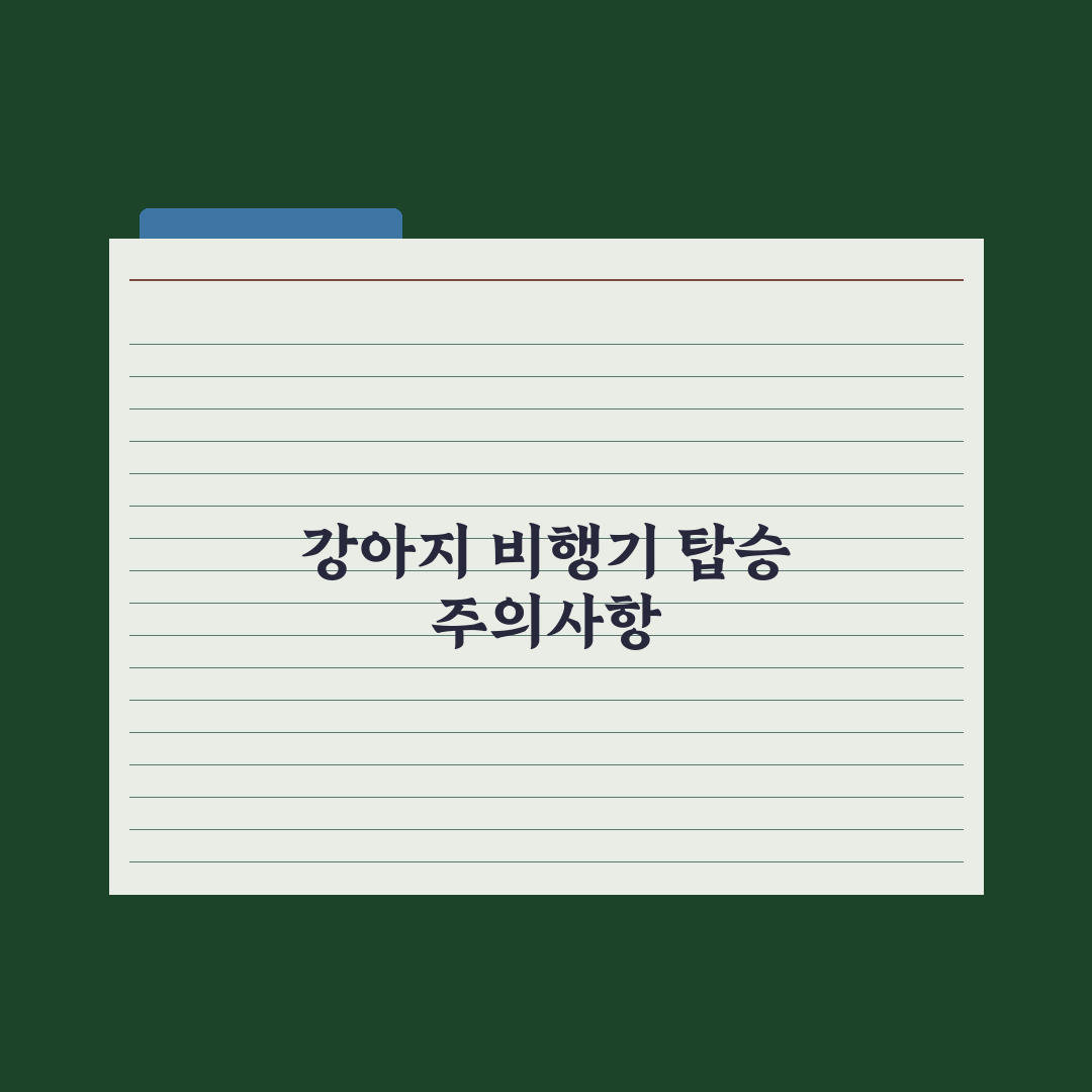 강아지 비행기 탑승 가이드 - 국내·국제선 완벽가이드: 전문가 5대 수칙