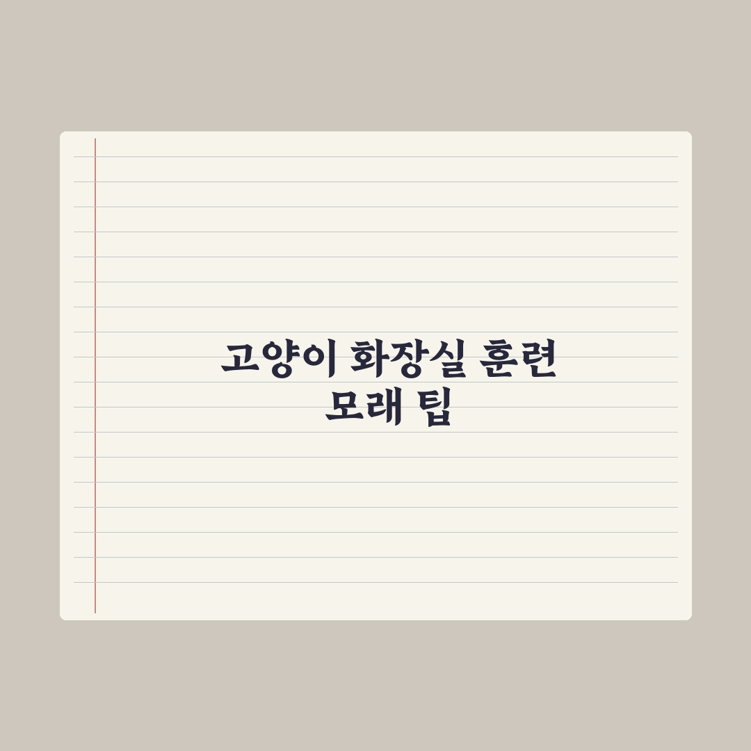 고양이 화장실 훈련과 모래 선택법 핵심정리, 전문가가 검증한 5가지 원칙