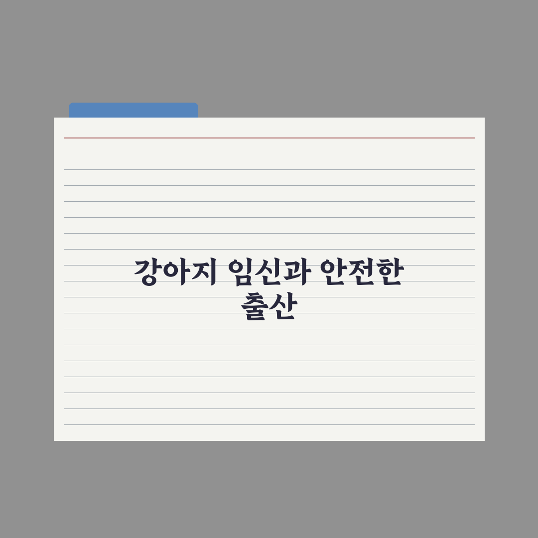 강아지 임신 - 시기·증상·출산 준비 완벽가이드: 전문가가 검증한 5단계