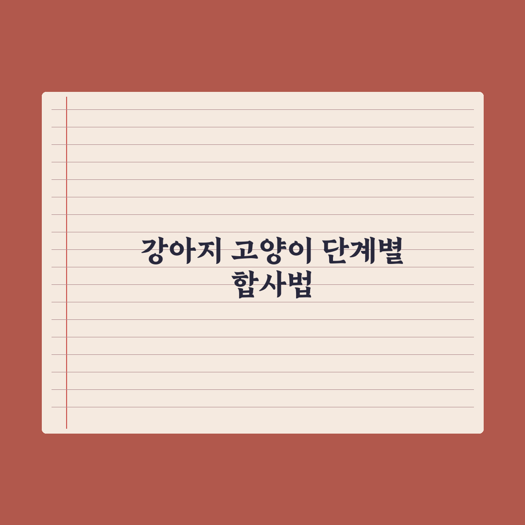 강아지·고양이 합사 단계별 가이드 심층분석, 전문가가 검증한 5단계 수칙