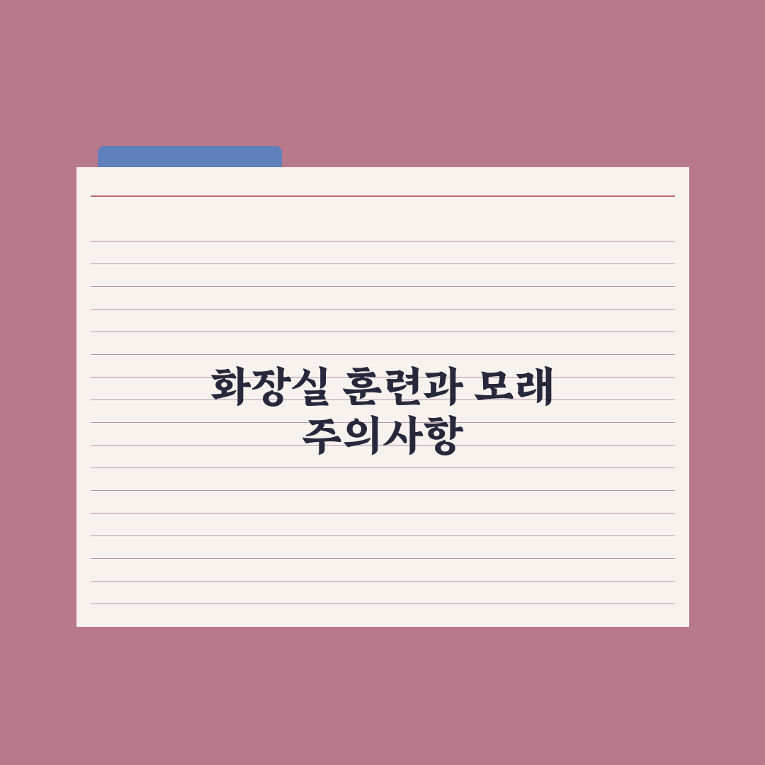 고양이 화장실 훈련과 모래 선택법 핵심정리, 전문가가 검증한 5가지 원칙