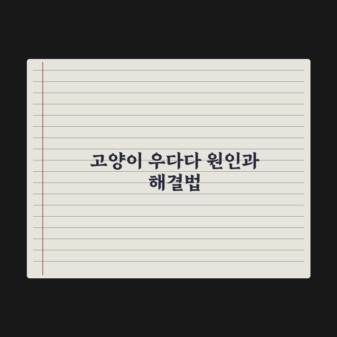 고양이 우다다·새벽 활동 줄이는 법 완벽가이드: 전문가가 검증한 5단계