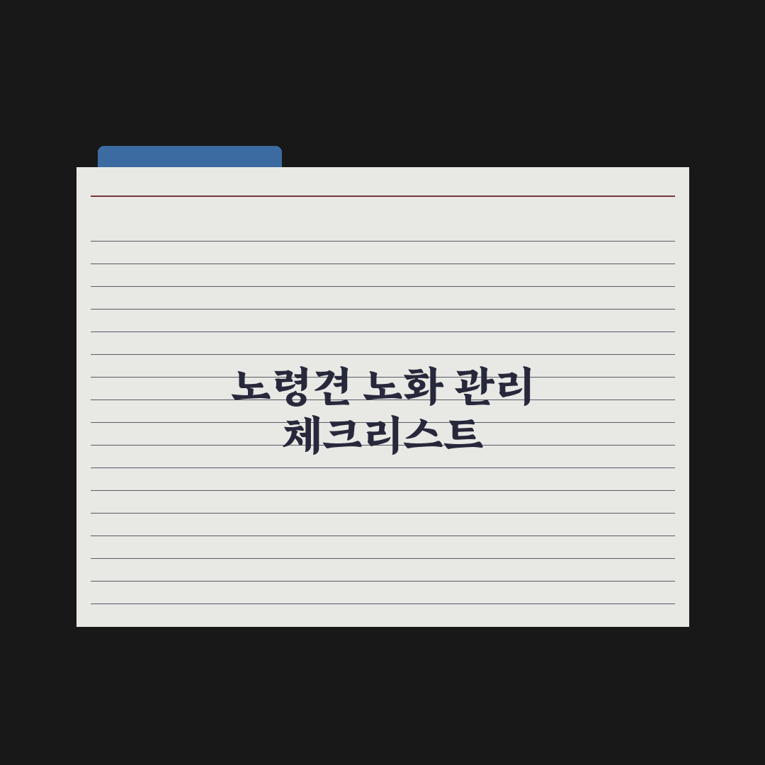 노령견 노화 신호 10가지와 관리 포인트 심층분석, 보호자가 놓치기 쉬운 5가지 지표