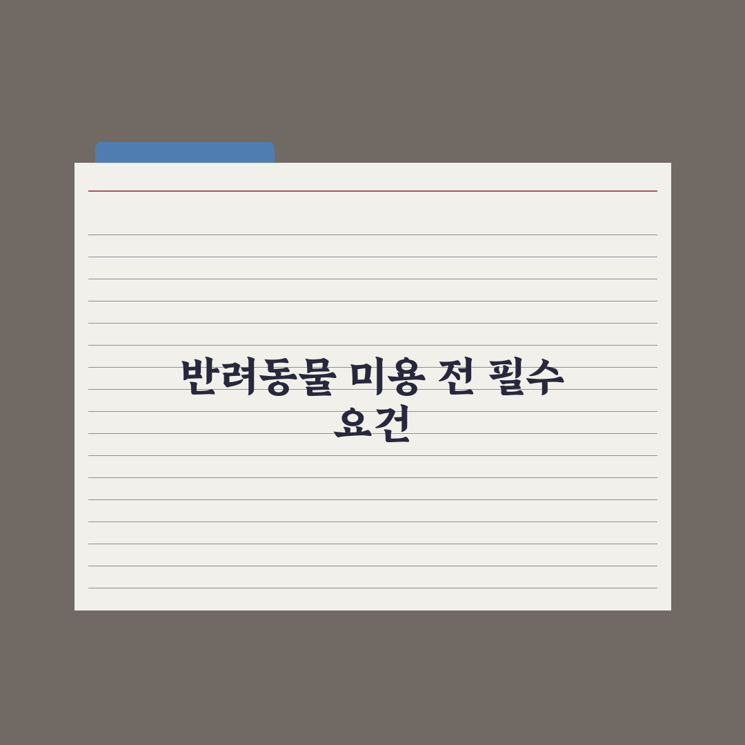반려동물 미용 비용 - 종류별 평균 정리 심층분석, 전문가의 5대 기준