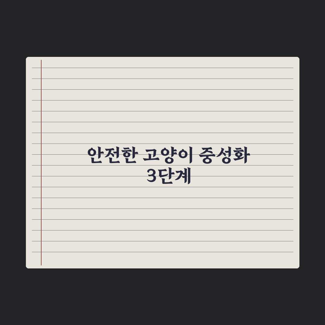 고양이 중성화 수술 가이드 심층분석: 전문가가 검증한 7가지 핵심 수칙