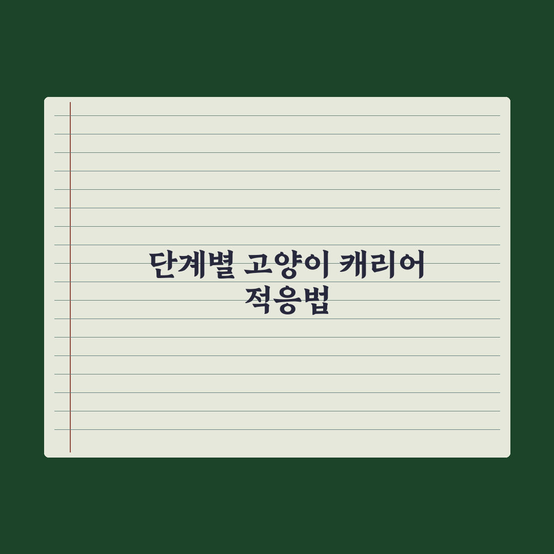 고양이 캐리어 적응 훈련법 완벽가이드: 전문가가 검증한 5단계 핵심정리