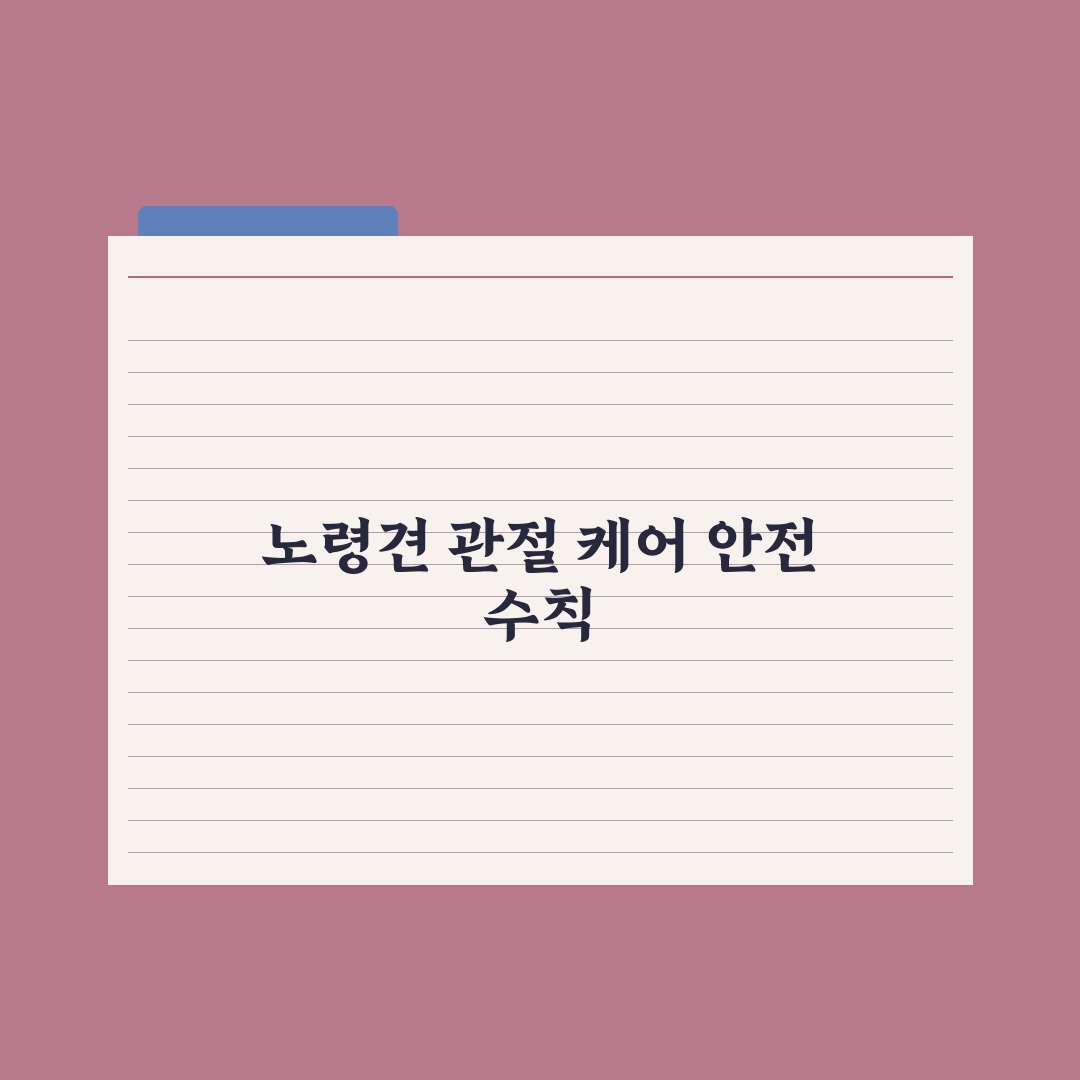노령견 관절 케어 - 영양제와 운동법 완벽가이드, 전문가가 검증한 5단계 핵심 수칙