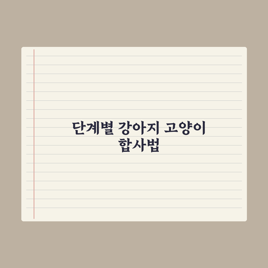 강아지·고양이 합사 단계별 가이드 심층분석, 전문가가 검증한 5단계 수칙