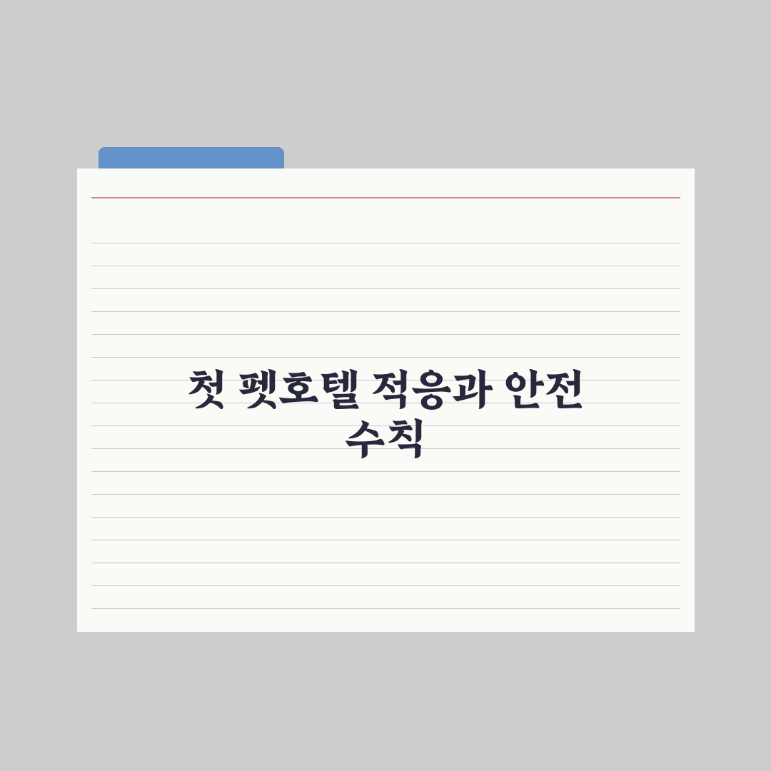 펫호텔 첫 이용 - 적응 팁과 준비물 완벽가이드, 전문가가 제안하는 5가지 안심 프로세스