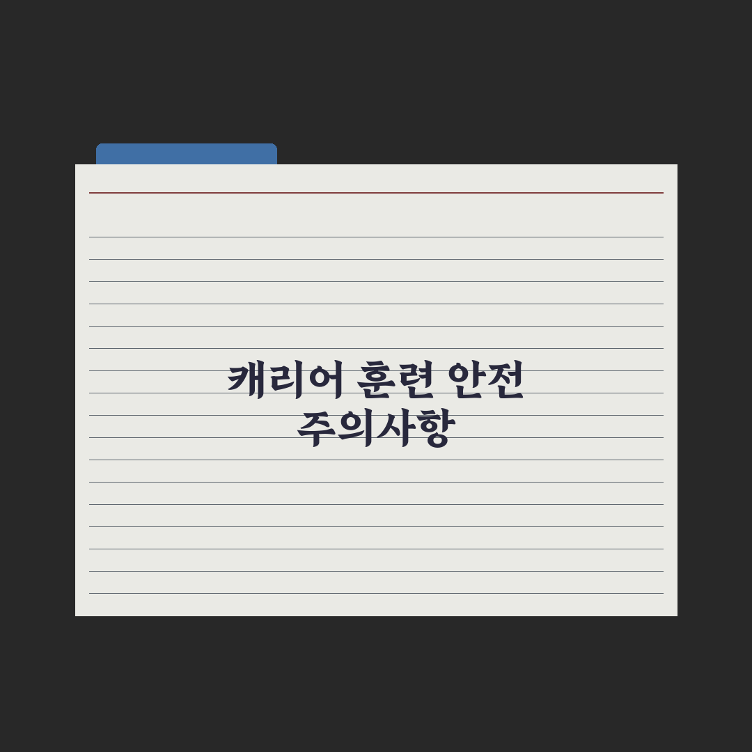 고양이 캐리어 적응 훈련법 완벽가이드: 전문가가 검증한 5단계 핵심정리