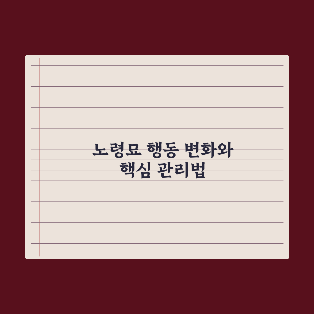 노령묘 행동 변화와 케어 포인트 완벽가이드: 전문가가 분석한 5대 핵심 징후