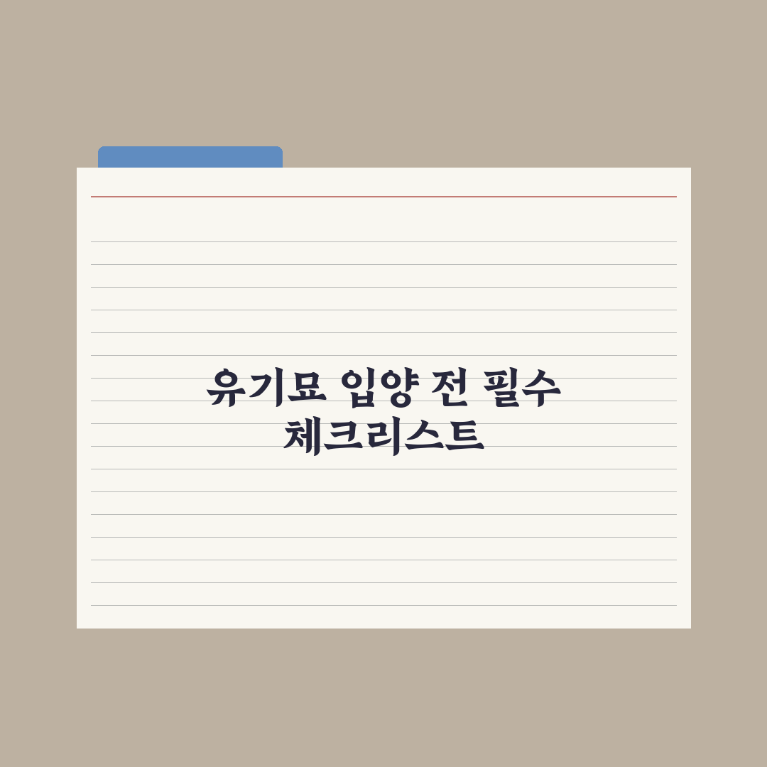 유기묘 입양 가이드 - 고려할 점과 절차 완벽가이드: 7가지 핵심정리