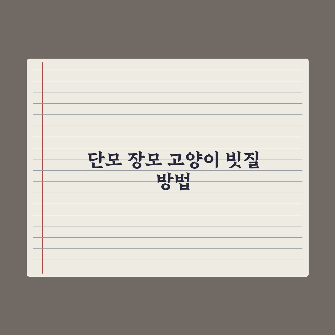 고양이 빗질 - 단모종·장모종별 방법 완벽가이드, 전문가의 5단계 수칙