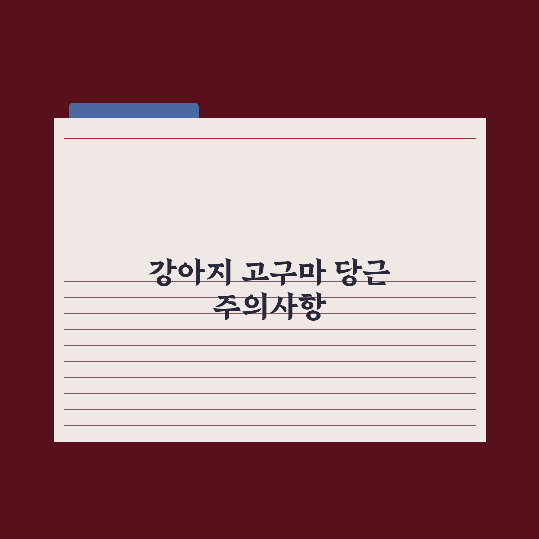 강아지 고구마·당근 - 안전한 급여량 완벽가이드, 전문가가 검증한 5가지